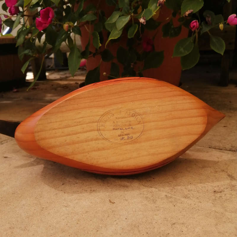 Birds of Africa carved and hand painted Pintail Duck