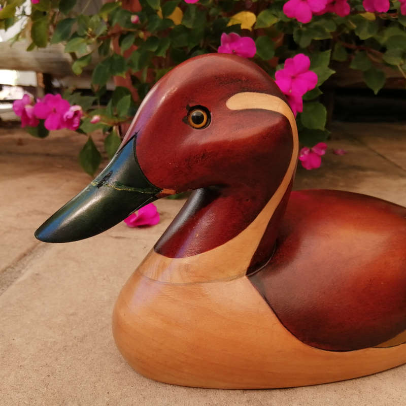Feathers of Knysna Gallery carved and hand painted Pintail Duck 457/2000