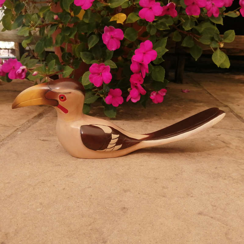 African Carvers of Knysna carved and hand painted Yellow Hornbill Ltd Bird 24/3000