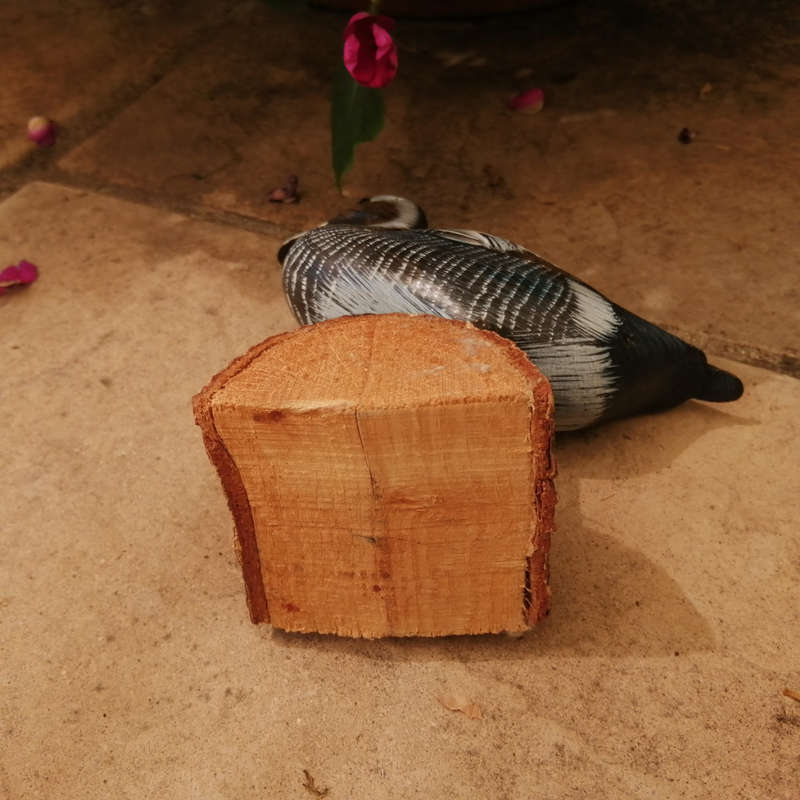 Wooden Hand carved Duck standing on a Log