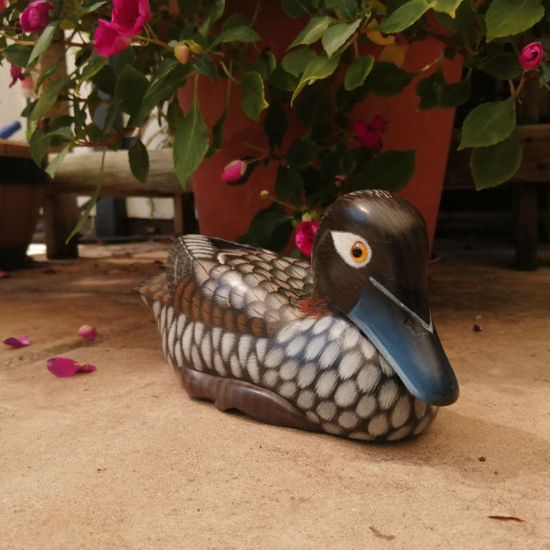 Wooden Hand carved Duck Swimming