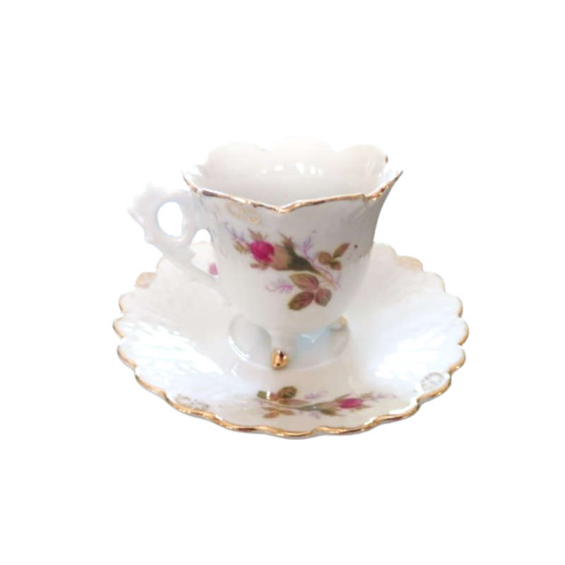 English Fine Bone China Rose Footed Cup and Saucer Duo