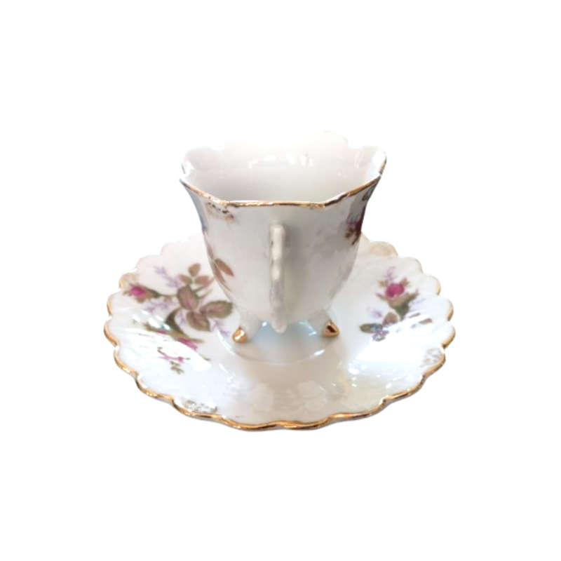 English Fine Bone China Rose Footed Cup and Saucer Duo