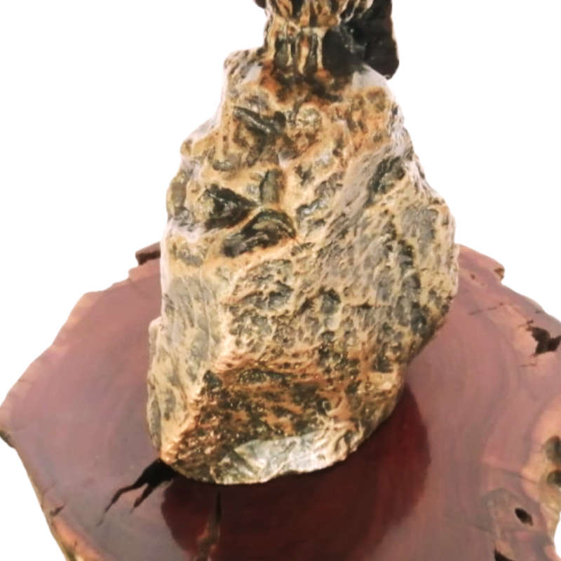 Bushcalls Cold Bronze Kingfisher Statue on Wooden Base