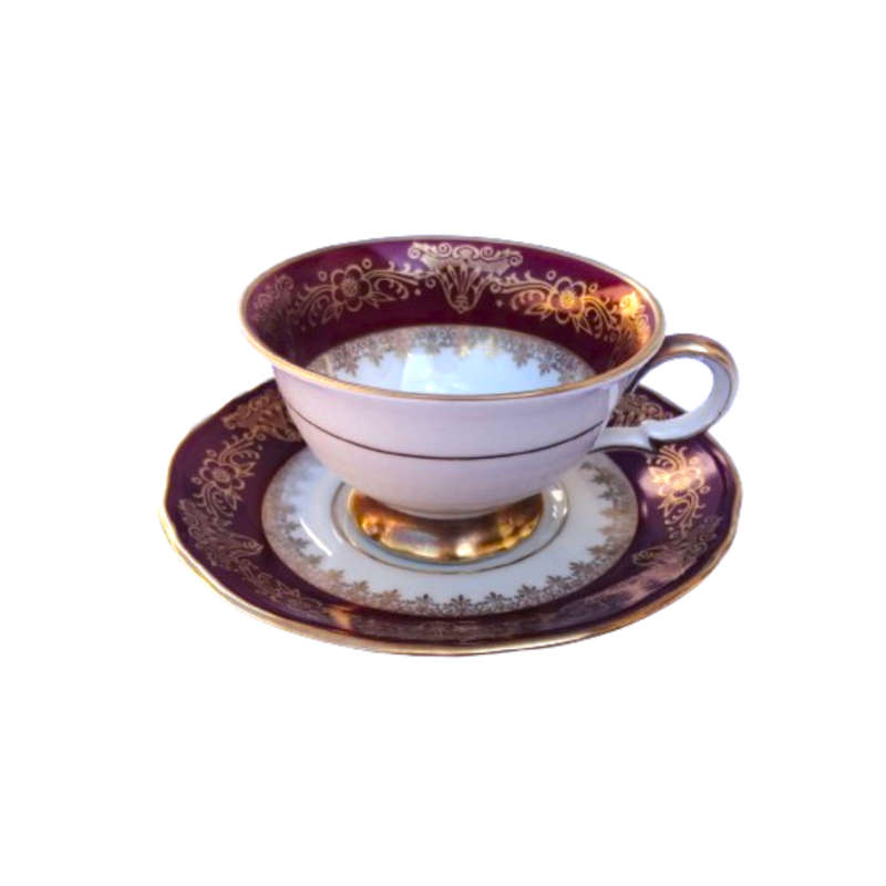 Scherzer Bavaria Porcelain Cup and Saucer Duo Turquoise Blue Gold decoration