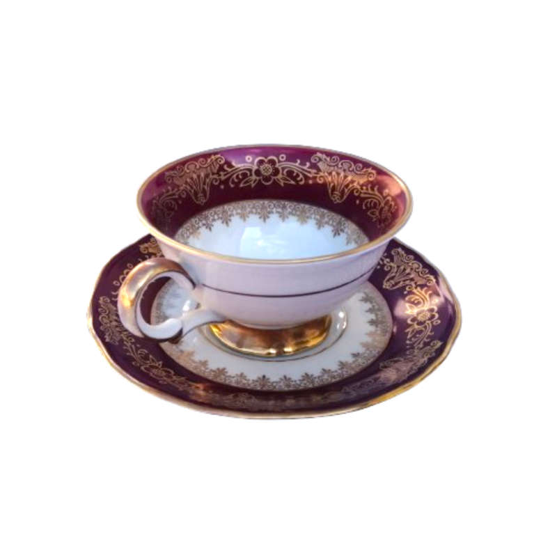Scherzer Bavaria Porcelain Cup and Saucer Duo Turquoise Blue Gold decoration