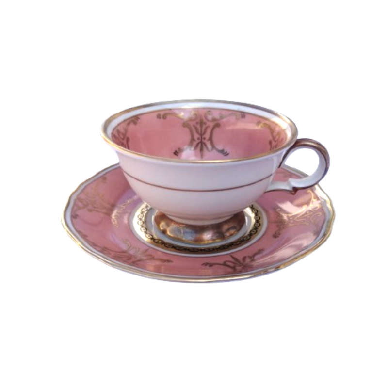 Scherzer Bavaria Porcelain Cup and Saucer Duo Salmon Pink Gold decoration