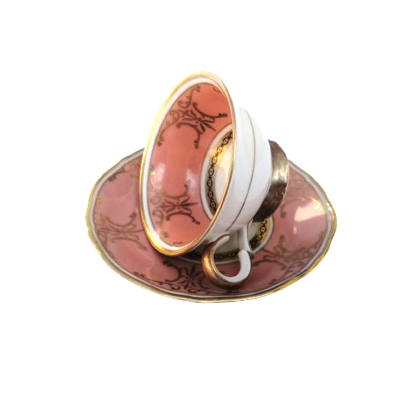 Scherzer Bavaria Porcelain Cup and Saucer Duo Salmon Pink Gold decoration