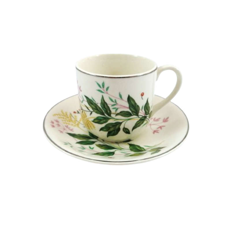 Johnson Bros Vintage Cup and Saucer Duo