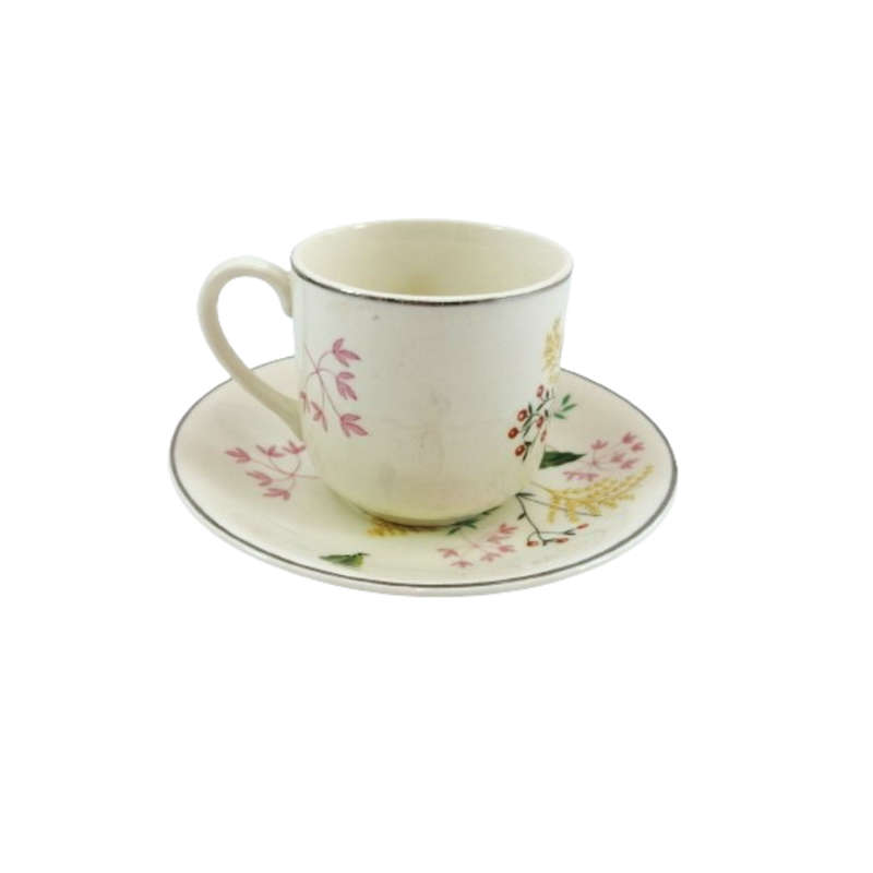 Johnson Bros Vintage Cup and Saucer Duo