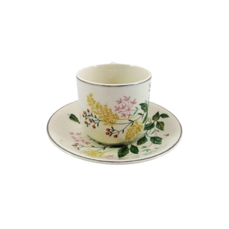 Johnson Bros Vintage Cup and Saucer Duo