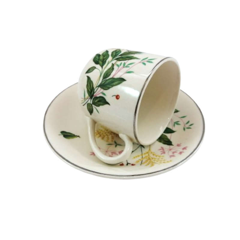 Johnson Bros Vintage Cup and Saucer Duo