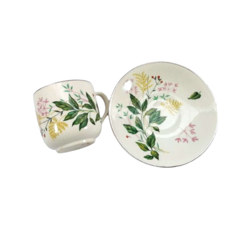 Johnson Bros Vintage Cup and Saucer Duo