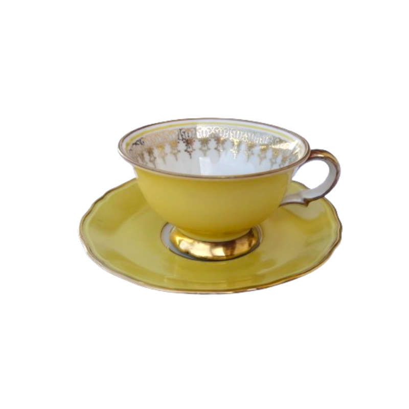 Scherzer Bavaria Porcelain Cup and Saucer Duo Yellow Gold decoration