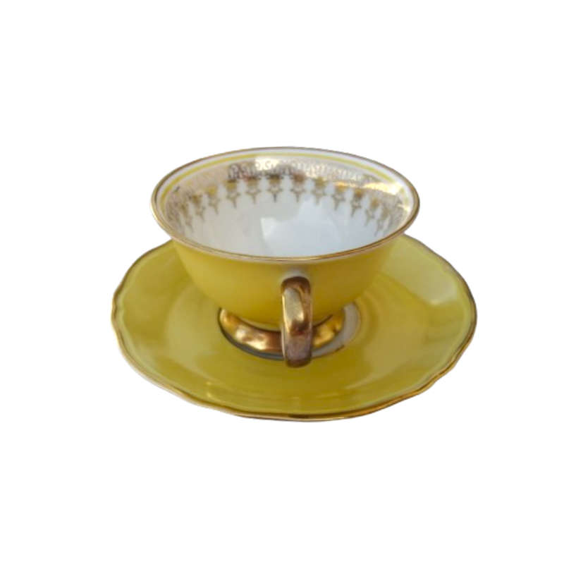 Scherzer Bavaria Porcelain Cup and Saucer Duo Yellow Gold decoration