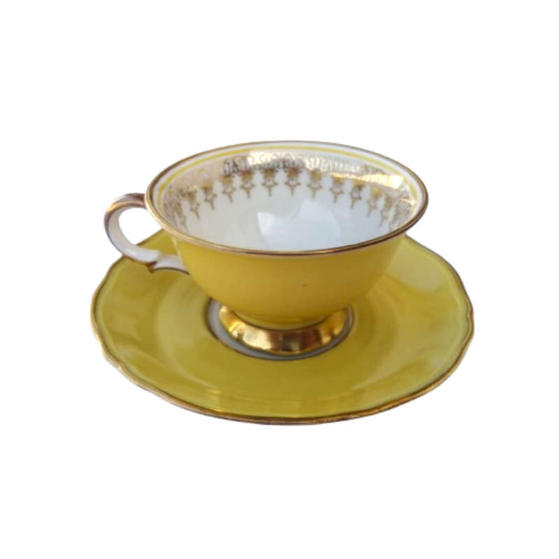 Scherzer Bavaria Porcelain Cup and Saucer Duo Yellow Gold decoration