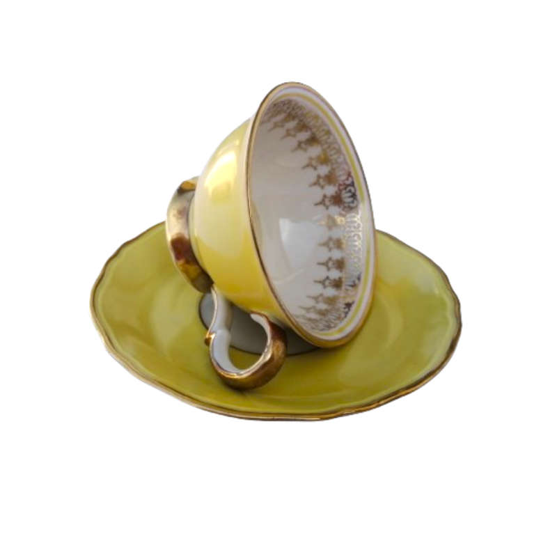 Scherzer Bavaria Porcelain Cup and Saucer Duo Yellow Gold decoration