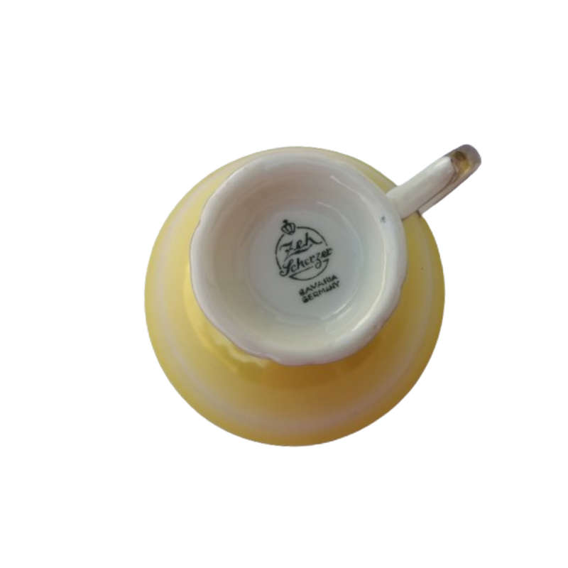 Scherzer Bavaria Porcelain Cup and Saucer Duo Yellow Gold decoration
