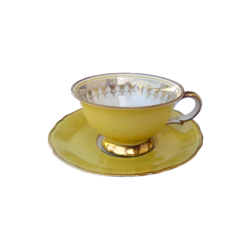 Scherzer Bavaria Porcelain Cup and Saucer Duo Yellow Gold decoration