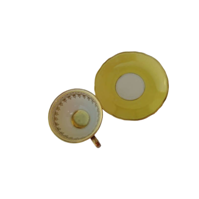 Scherzer Bavaria Porcelain Cup and Saucer Duo Yellow Gold decoration