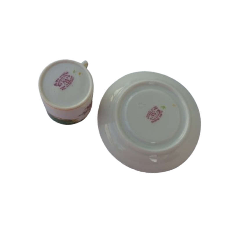 Ye Old English Grosvenor China Cockatrice duo cup and saucer