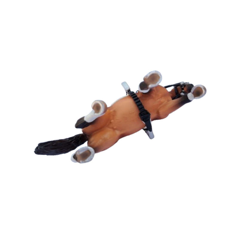 Schleich #40187 Rare  Hanoverian Mare Horse Dressage Riding Set
