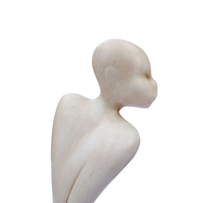 The Illusion of Masculinity and Femininity Ceramic Figurines