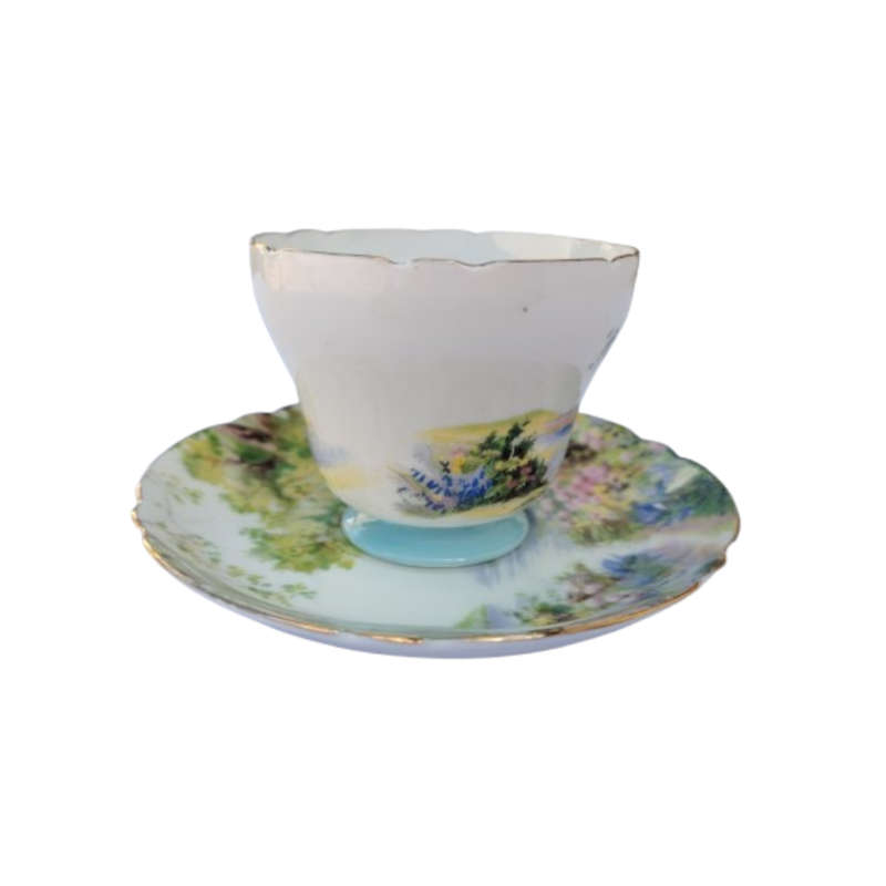 Shelley Fine Bone China Woodland Duo