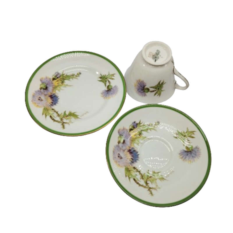 Royal Doulton Bone China Glamis Thistle Tea Set