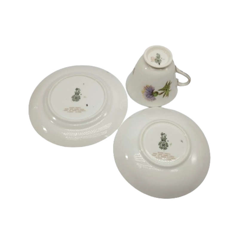 Royal Doulton Bone China Glamis Thistle Tea Set