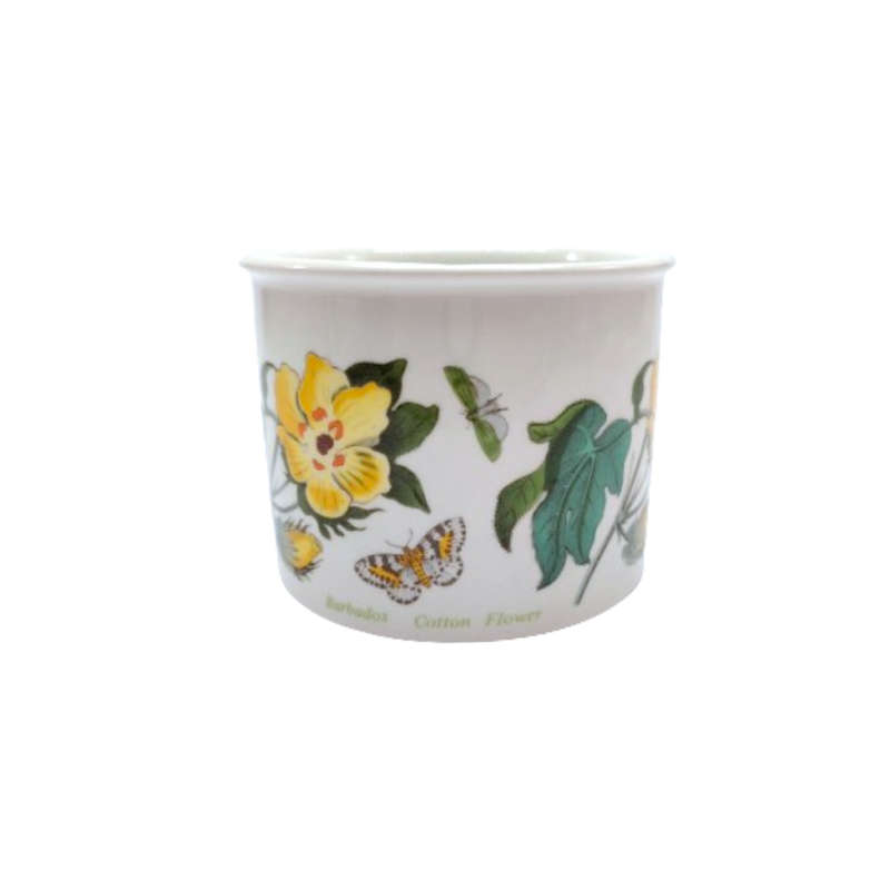 Portmeirion Botanic garden Barbados Cotton Flower Pot