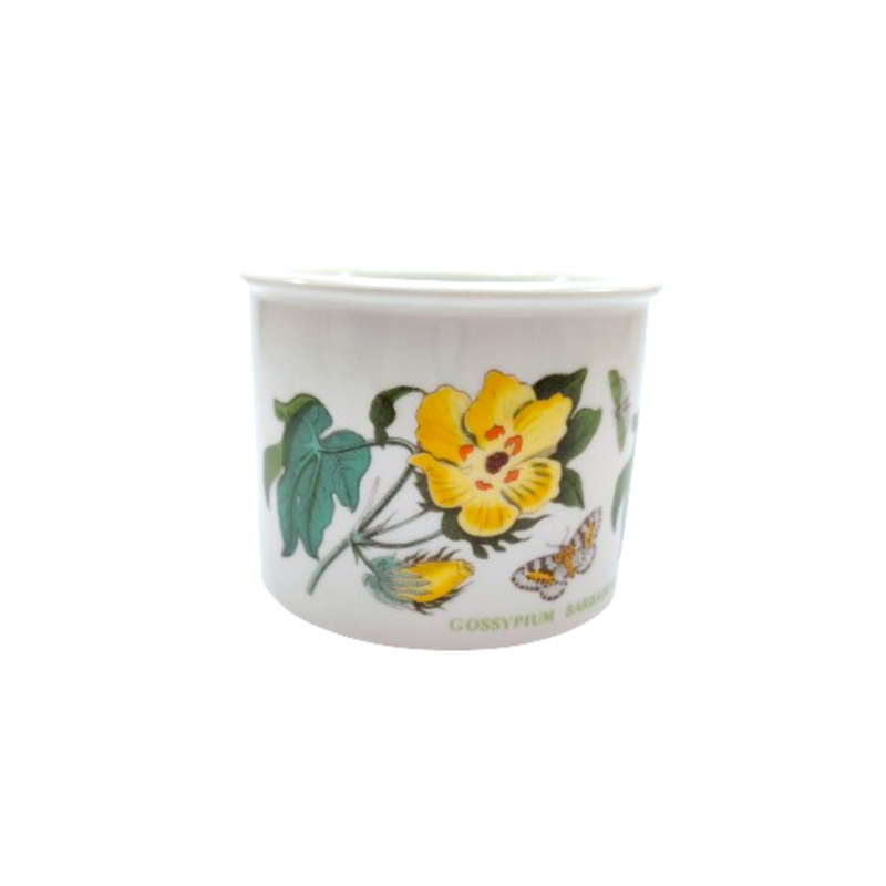 Portmeirion Botanic garden Barbados Cotton Flower Pot