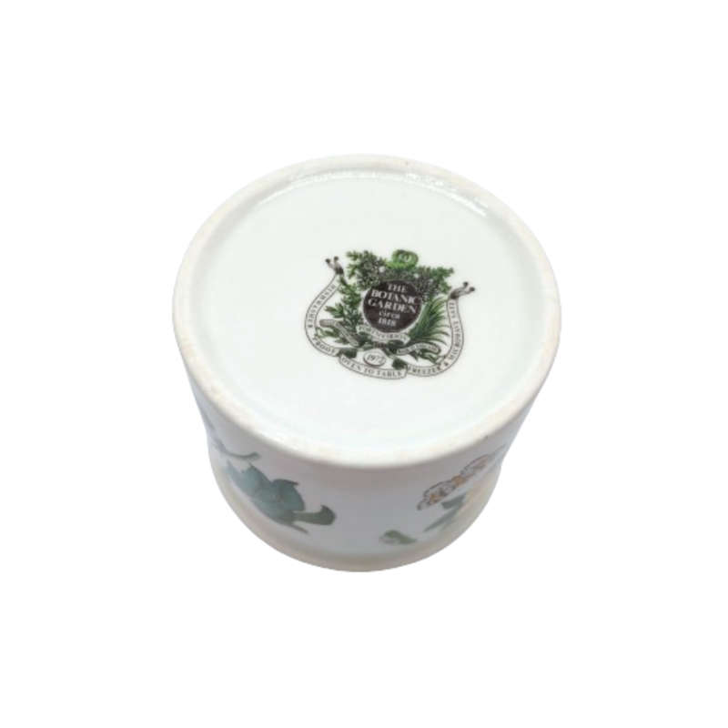 Portmeirion Botanic garden Barbados Cotton Flower Pot