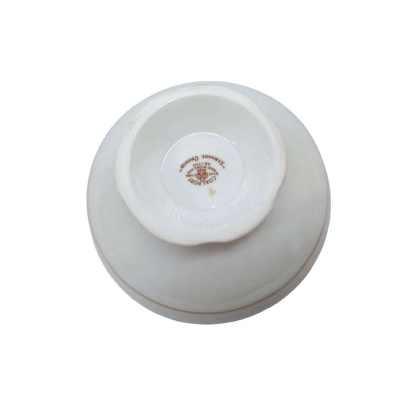 Coalport Elegant Bone China Strange Orchid pale green Sugar Bowl