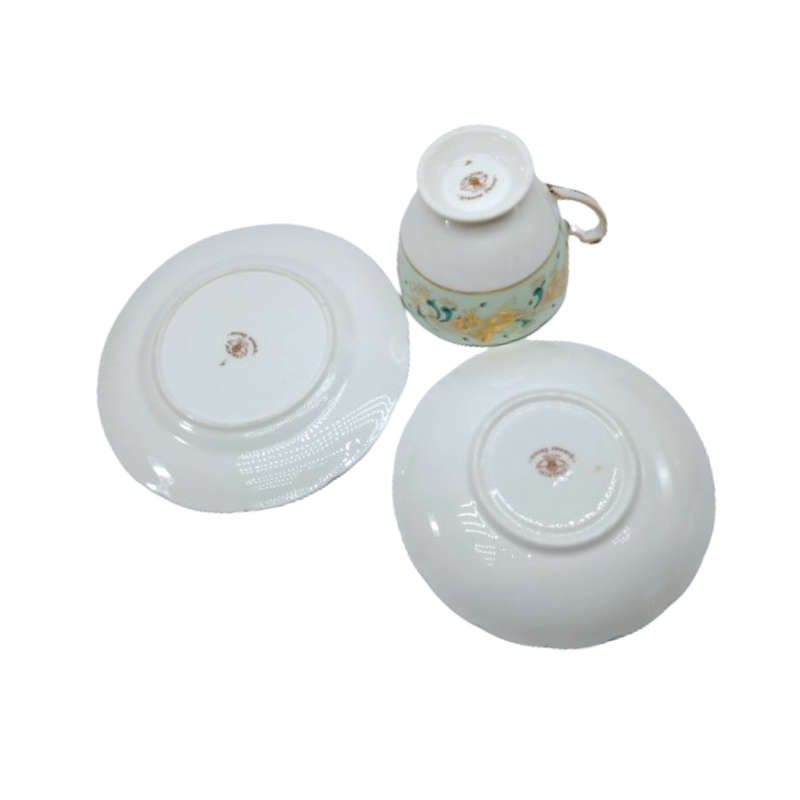 Coalport Elegant Bone China Strange Orchid pale green Trio
