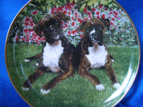 Stunning Brambury Mint `Togetherness Boxer Dog Plate LTD *