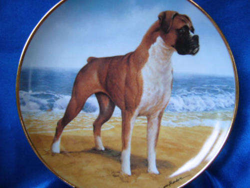 Stunning Brambury Mint "On The Beach" Boxer Dog Plate LTD *