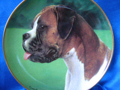 Stunning Brambury Mint `Taking A Breather` Boxer Dog Plate LTD *