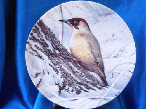 Stunning Wedgwood `Winter Perch` Plate *
