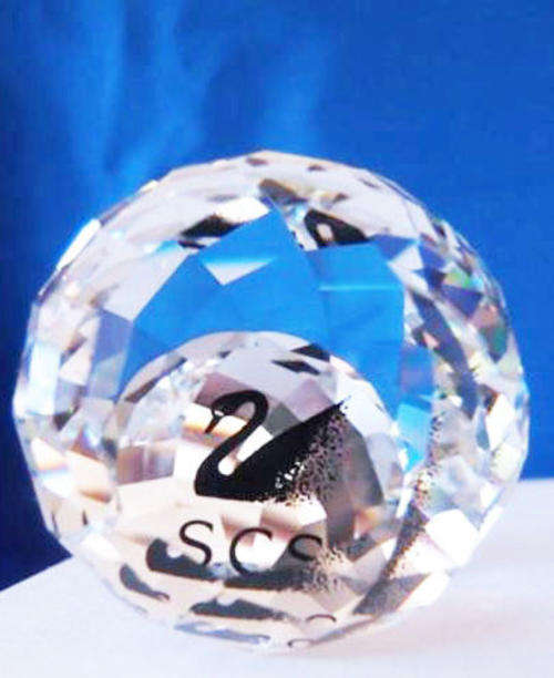 GENUINE Swarovski Crystal Stunning Medium Paperweight *