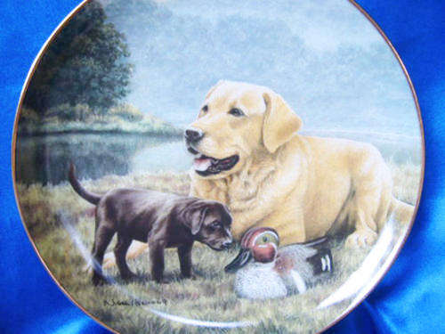 Stunning Franklin Mint ` First Encounter ` Labrador Dog  Plate LTD