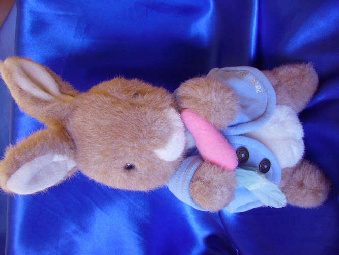 The World of beatrix Potter - TY Beanie Peter rabbit soft toy