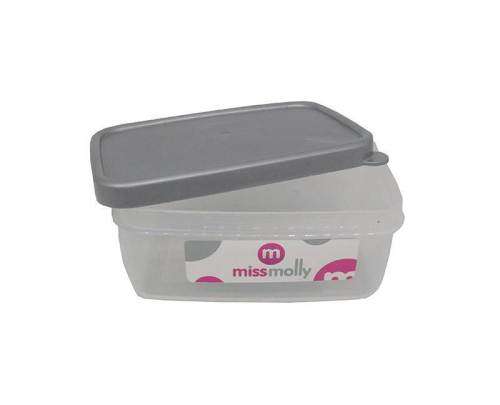 FOODSAVER / LUNCHBOX - 500ml (PACK OF 2)