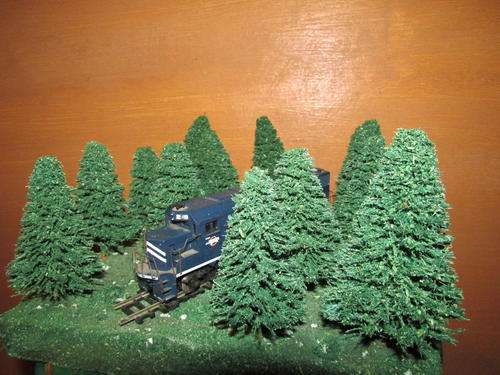 LOT OF 60 PINE TREES