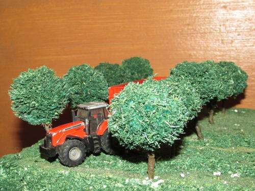 Lot of 20 round top trees