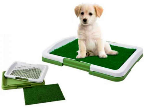Puppy Potty Trainer