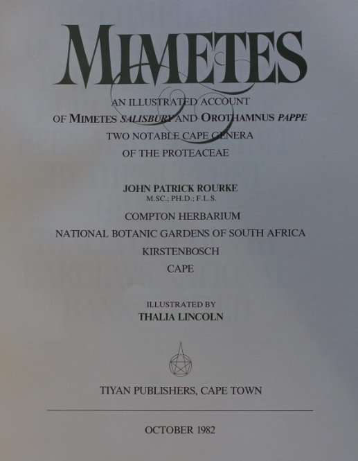 Mimetes by J P Rourke and Illustrated by Thalia Lincoln