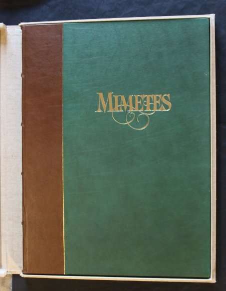 Mimetes by J P Rourke and Illustrated by Thalia Lincoln