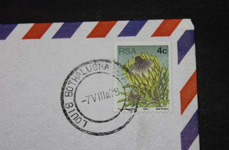 RSA 4c Stamp Protea longifolia 1977, Dick Findlay