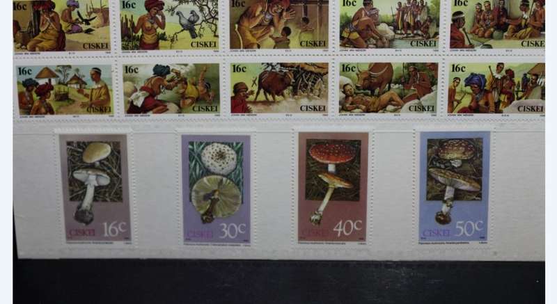 Republic Of Ciskei Series Stamps 1988 Batten, Jackson, Van Niekerk, Botha.